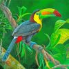 Keel Billed Toucan paint by numbers