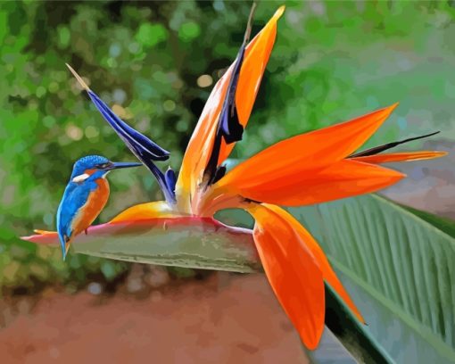 Kingfisher On Paradise Flower paint by numbers