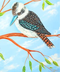 Kookaburra paint by numbers