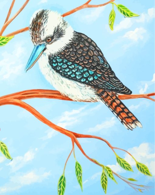 Kookaburra paint by numbers