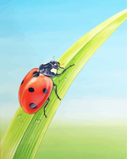 Ladybug On Leaf Paint by numbers