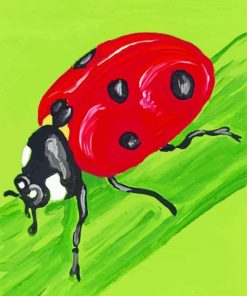 Ladybug Insect paint by numbers