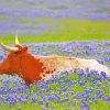 Longhorn In Bluebonnets Field paint by numbers