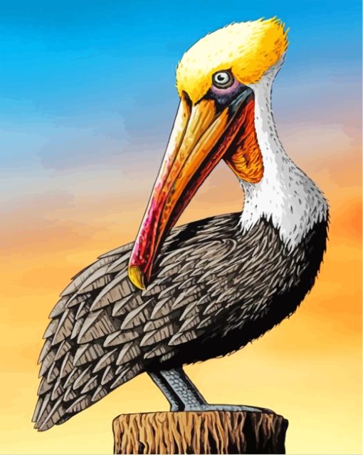 Pelican Art Paint by numbers