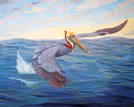 Pelican Bird paint by numbers