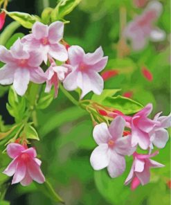 White Jasmin Flowers paint by numbers paint by numbers