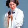 Princess Leia paint by numbers