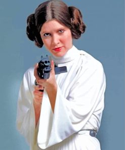 Princess Leia paint by numbers