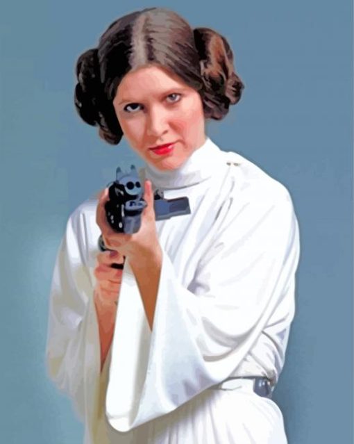 Princess Leia paint by numbers