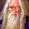 Professor Albus Dumbledore Art paint by number