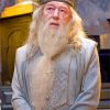 Professor Albus Dumbledore Harry Potter paint by number