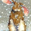 Rabbit In Snow paint by numbers