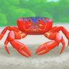 Bright Red Crab Art paint by numbers