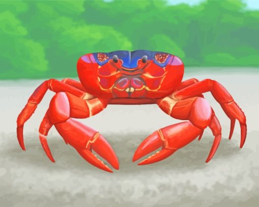 Bright Red Crab Art paint by numbers