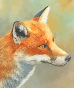 Red Fox Head Paint by numbers