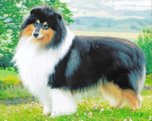 Rough Collie paint by numbers