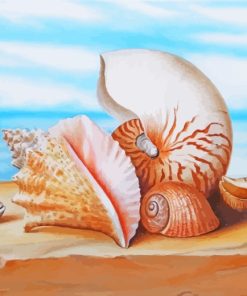 Sea Shells paint by numbers