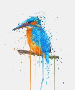 Splatter Kingfisher Bird paint by numbers