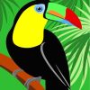 Toucan Bird Paint by numbers