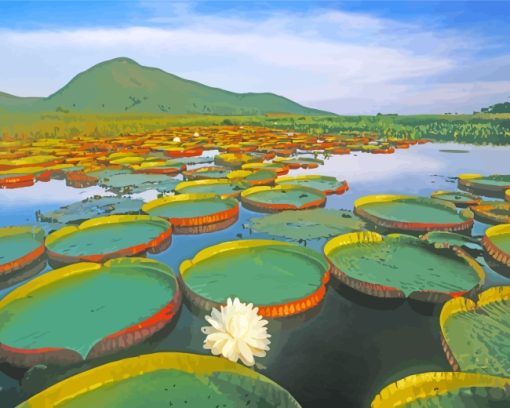 Water Giant Lilies Brazil paint by number