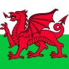 Welsh Dragon Flag paint by numbers