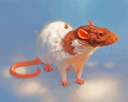 White Brown Rat paint by numbers