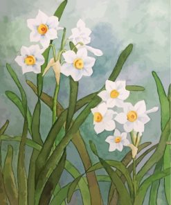 White Daffodil Flowers paint by number