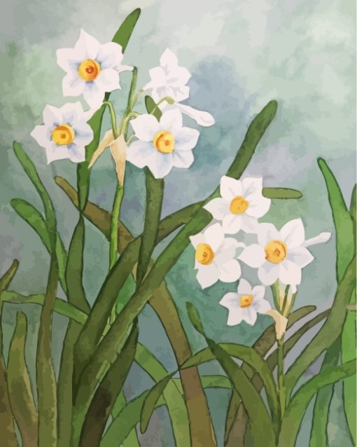 White Daffodil Flowers paint by number