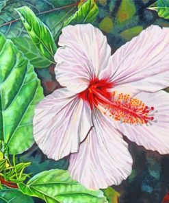 White Hibiscus Flower paint by numbers