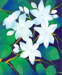 White Jasmin Flowers paint by numbers