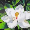 White Magnolia Flower Art Paint by numbers