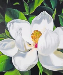 White Magnolia Flower Art Paint by numbers