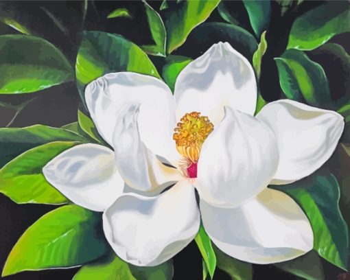 White Magnolia Flower Art Paint by numbers