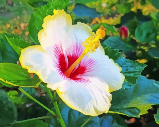 White And Yellow Hibiscus Flower paint by numbers