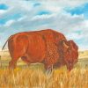 Wild American Bison paint by numbers