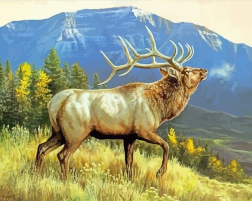 Wild Elk Animal paint by numbers