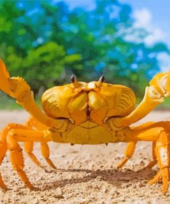 Yellow Crab paint by numbers