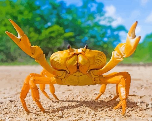 Yellow Crab paint by numbers