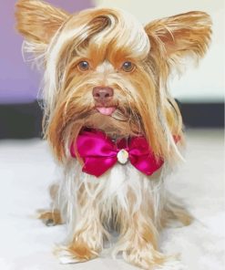 Yorkie With Tie Bow Paint by numbers