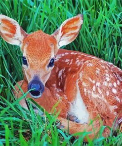 Adorable Fawn paint by numbers