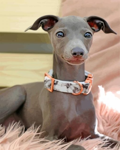 Adorable Greyhound paint by number