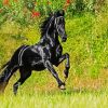 Aesthetic Friesian Horse paint by number