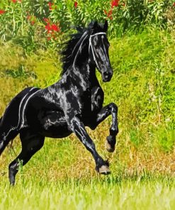 Aesthetic Friesian Horse paint by numbers