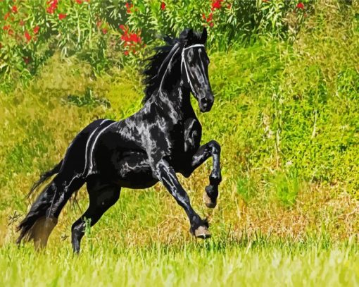 Aesthetic Friesian Horse paint by numbers