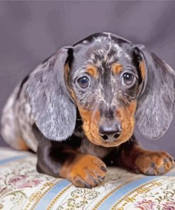 Aesthetic Doxie Puppy paint by numbers