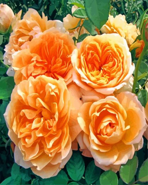 Aesthetic Floribunda Flowers paint by numbers