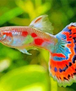 Aesthetic Guppy Fish paint by numbers