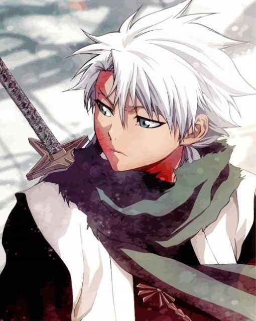 Bleach Anime Toshiro Hitsugaya papint by numbers