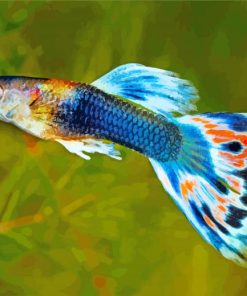 Bleu Guppy Fish paint by numbers