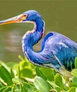 Blue Heron paint by numbers